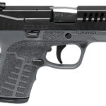 Savage Stance Gray 9mm 3.2" Barrel 8-Rounds No Manual Safety