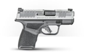 Springfield Armory Hellcat Micro-Compact Stainless 9mm 3" Barrel 13-Rounds 3 Springfield Armory Hellcat Micro-Compact Stainless 9mm 3" Barrel 13-Rounds