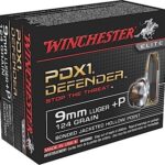 Winchester PDX1 Defender Nickel Plated Brass 9mm+P 124Gr 20-Rounds Bonded Jacket Hollow Point 2 Winchester PDX1 Defender Nickel Plated Brass 9mm+P 124Gr 20-Rounds Bonded Jacket Hollow Point