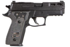 Sig Sauer P229 Pro Compact 9mm Optics Ready E29R-9-BXR3-PRO-R2 3 A1441