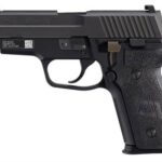 Sig Sauer P229 9mm Luger DA/SA NS M11-A1 1 Sig Sauer P229 9mm Luger DA/SA NS M11-A1
