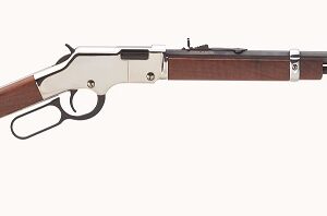 Henry Repeating Arms Silver Boy 17 HMR H004SV