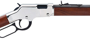 Henry Golden Boy Silver Youth 22 LR H004SY