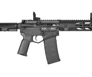 Diamondback DB15 Pistol 556 Nato 10" Barrel MLok DB15PDS10B