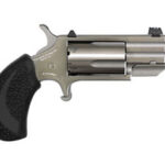 North American Arms Pug 22 Mag Tritium Night Sight NAA-PUG-T