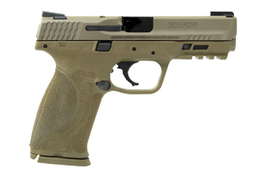 A3396 Smith & Wesson M&P 2.0 40 S&W FDE Truglo TFX 11768