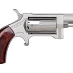 North American Arms Sidewinder Conversion 22 LR/Mag NAA-SWC 1 North American Arms Sidewinder Conversion 22 LR/Mag NAA-SWC