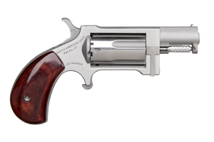 North American Arms Sidewinder Conversion 22 LR/Mag NAA-SWC