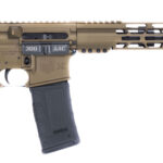 Diamondback DB-10 AR10 308 18" Stainless Barrel FDE DB10DFDE