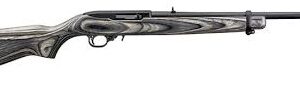 Ruger 10/22 Rifle, Black Laminate Stock, 10 Rnd Mag 1109