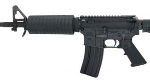 Palmetto State Armory PSA Classic Freedom AR-15 508052
