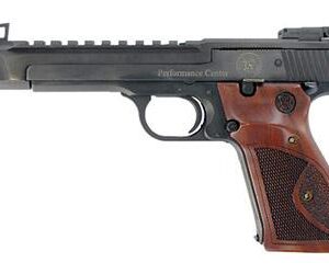 Smith & Wesson 41 5.5" 22 lr Bl Hb Wd Grips 178031 6 Mags