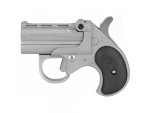 Cobra Firearms Big Bore 38 Spl Stainless Steel W/ Trigger Guard BBG38SB 3 A427