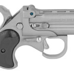 Cobra Firearms Big Bore 22 Mag Stainless Steel BBG22SB