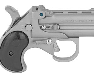 Cobra Firearms Big Bore 22 Mag Stainless Steel BBG22SB