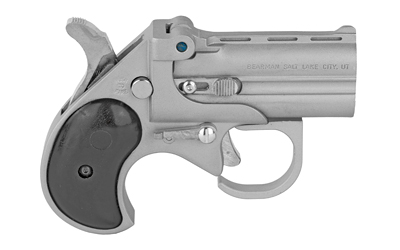 A4518 Cobra Firearms Big Bore 22 Mag Stainless Steel BBG22SB