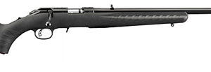 Ruger American 17 HMR Compact 8313