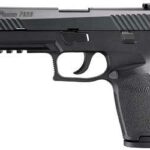 Sig Sauer P320 Full Size 9mm 17 Round Capacity 320F-9-B 1 Sig Sauer P320 Full Size 9mm 17 Round Capacity 320F-9-B