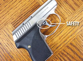 Seecamp 32 California Edition Stainless LWS .32 Seacamp NIB