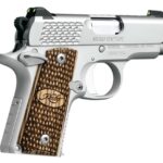 Kimber Micro9 9mm Stainless Raptor 3300109 1 Kimber Micro9 9mm Stainless Raptor 3300109