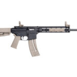 Smith & Wesson M&P15-22 22 LR FDE MOE SL 10210 3 A632
