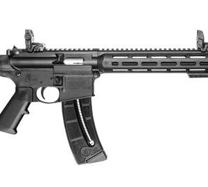 Smith & Wesson M&P15 15-22 SPORT 25RD 10208