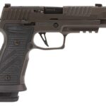 Legion Handguns Semi Auto 1 Legion