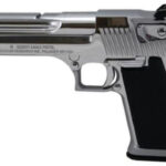 Magnum Research Desert Eagle Mark XIX .44 Magnum 6" Barrel Polished Chrome Finish 8rd California Compliant Magnum Research 2 Magnum Research Desert Eagle Mark XIX .44 Magnum 6" Barrel Polished Chrome Finish 8rd California Compliant