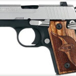Sig P238 380 ACP 2.7In SAS 2-Tone SAO Siglite Walnut Grip (1) 6rd Steel MAG Dehorned SRT Sig Sauer 2 Sig P238 380 ACP 2.7In SAS 2-Tone SAO Siglite Walnut Grip (1) 6rd Steel MAG Dehorned SRT