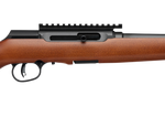 Savage Arms A Series Timber 22 LR