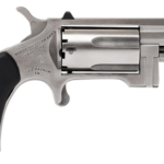 North American Arms Sentinel 22 WMR