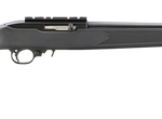 Ruger 10/22 Carbine 22 LR