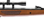 Hatsan Mod 65 Air Rifle 177 Pellet, Walnut Stock, 3-9x32 Scope 1 Hatsan Mod 65 Air Rifle 177 Pellet