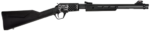 Rossi RP22 22 LR, 18" Barrel, Black, Engraved Eagle & US Flag, 15rd 3 Rossi RP22 22 LR