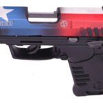 Ruger SR22 22 LR