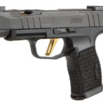 Sig P365XL Spectre 9mm, 3.7" Barrel, TiN Barrel/Trigger, Black, 12rd Sig Sauer 1 Sig P365XL Spectre 9mm