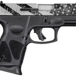 Taurus G3c 9mm, 3.26" Barrel, Black Engraved USA Flag, Stainless Steel Slide, 12rd 1 Taurus G3c 9mm