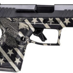 Taurus GX4 9mm, 3.06" Barrel, Black, Eagle/Flag Grip, 10rd 1 Taurus GX4 9mm