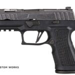 P320-XCOMPACT SPECTRE
