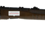 Savage B22 G Bolt-Action Rifle .22 LR 21 in. Walnut