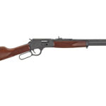 Henry Big Boy Steel Side Gate .45 Long Colt 20″ 10rd