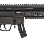 GSG-16 Carbine .22 LR 16.25in Black Synthetic