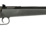 Crickett .22 LR 16.125″ Blued/Gray