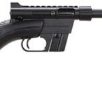 Henry Repeating Arms U.S. Survival AR-7 .22 LR 16.13" Barrel 8-Rounds