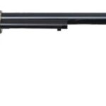 Heritage Firearms Rough Rider Western .22 LR 12" Barrel 6-Rounds Wyatt Earp Grips