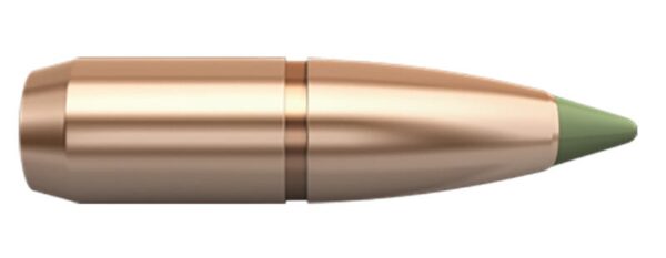 Nosler 59451 E-Tip Lead Free 30-30