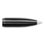 Nosler Ammunition 51160 Balistic St 30 168 Bt 50