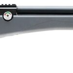 Umarex Origin Airgun .22 Air 22.8" Barrel 10-Rounds