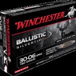 Winchester Ballistic Silvertip Brass .30-06 180Gr 20-Rounds Rapid Controlled Expansion Polymer Tip