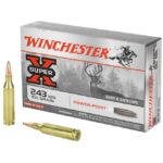 Winchester Super X Brass .243 Win 100-Grain 20-Rounds PP